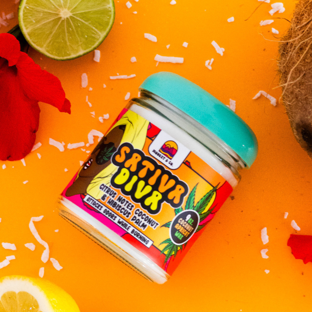 Calling all island lovers and stoners! Say, “Aloha,” to the Sativa Diva Candle from Modest&Co. - a pick-me-up in a jar! Inspired by the popular Maui Wowie strain, and using coconut apricot wax, this odor-fighting candle is bursting with notes of exotic fruits, citrus, and hibiscus palm!